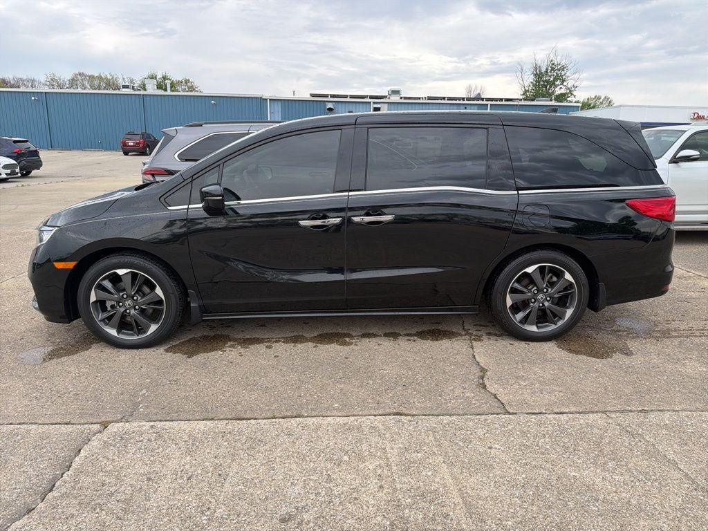 2024 Honda Odyssey Elite